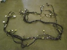 2006 Infiniti G35 Coupe Mt,rear Wheel Steer Assist Body Wire Harness 24014 CM43. Fixed Price $192.00.