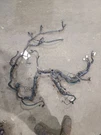4 Runner 1999 Engine Wire Harness 621905. Fixed Price $259.00.