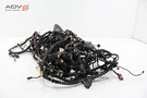 2025 Volkswagen Tiguan Dashboard & Main Body Wire Wiring Harness Oem. Fixed Price $854.99.