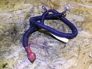 11 12 13 14 Nissan Juke Positive Cable Battery Starter Motor Oem D30. Fixed Price $56.00.