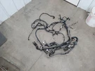 Pathfindr 2008 Engine Wire Harness 307833. Fixed Price $287.50.