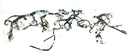 2013 Toyota Sienna Dash Instrument Panel Wire Harness Assembly 82141-08A43. Fixed Price $326.02.