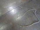 Lamborghini Gallardo, Coupe, Spyder, Shock Jacking Hose, Used, P/n 400616733D. Fixed Price $375.00.