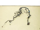 Land Range Rover Evoque 2023 2.0L Awd Engine Motor Wire Wiring Harness 20-24 ;:a. Fixed Price $255.78.