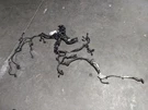 2016 Infiniti Q50 Engine Wire Harness Awd 2.0L Oem 1192488. Fixed Price $175.00.