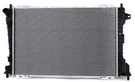 Radiator Osc 2157. Fixed Price $240.99.