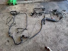 1999 Ford Mustang Cobra Svt Dohc 4.6L Body Harness Plug Wire Wiring Chassis. Fixed Price $249.00.