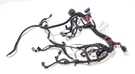 2000 Ford F250 Oem Engine Wiring Harness 7.3L Diesel Rwd One Broken Plug. Fixed Price $274.75.