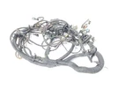 2005 Lotus Elise Oem Engine Wiring Harness Bay Cut As. Fixed Price $150.00.