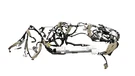 Oem Nissan Rogue 2021 Dashboard Instrument Panel Wire Wiring Harness. Fixed Price $413.99.