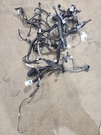 Outbakleg 2024 Engine Wire Harness 608562. Fixed Price $299.00.