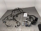 2013 Hyundai Elantra 1.8L Engine Wiring Harness Oem 1192904. Fixed Price $200.00.
