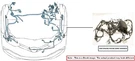 Engine Room Harness Oem 2011 Toyota Highlandr. Fixed Price $1785.00.