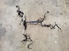 2018 2019, Jaguar Xf, Engine Wire Harness, 2.0L, Rwd, Part Number: T2H42998. Fixed Price $499.99.