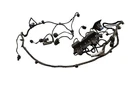 12-13 Lr Range Rover Evoque L538 Front Park Assist Pdc Sensor W/ Harness Oem. Fixed Price $151.05.