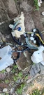Toyota Highlander 2001 Front Dashboard Wire Wiring Harness Factory. Fixed Price $100.00.
