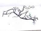 2021 Honda Accord Dashboard Instrument Wire Harness 32117-TVA-AJ1. Fixed Price $248.38.