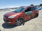 Dash Wire Harness Oem 2015 Ford Escape FV4Z14401L. Fixed Price $275.00.