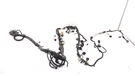 2012 Ford F150 Wiring Harness Engine Oem 5.0L 4X2 DU5T12C508J4CP7. Fixed Price $406.05.