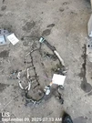 Engine Wire Harness Oem 2019 Ford F150. Fixed Price $150.00.