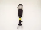 Tesla Model Performance Front Air Spring Module Shock Strut 6006351-04-A. Fixed Price $250.00.
