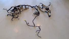 2011 Infiniti M37X Dash Wire Wiring Harness 3.7L At Awd 99608. Fixed Price $498.00.