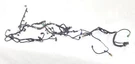2003 Mercury Marauder Oem Engine Wiring Harness 4.6L. Fixed Price $500.00.