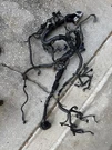 2019-2024 Infiniti Q50 Awd 3.0L Engine Motor Wire Wiring Harness Oem 240116HN0A. Fixed Price $250.00.
