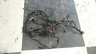 Engine Wire Harness Fits 2004 Expediton 4.6L 2WD Automatic 187321. Fixed Price $144.39.