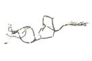 1999 Mazda MX-5 Miata 1.8L Dash Wire Harness NC1067030D. Fixed Price $137.35.