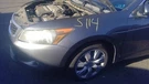 Accord 2008 Fuse Box Cabin 1122007. Fixed Price $94.90.