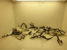 13 15 Toyota Prius Five 2WD Dash Wire Harness 82145-47R12. Fixed Price $292.49.