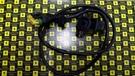 Ferrari F360, Enzo F1, Sensor Joint For Actuator Gearbox P/e 181325. Fixed Price $822.47.