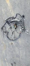 1992 Lexus SC400 Engine Bay Wire Wiring Harness Fusebox Oem 82111-24611. Fixed Price $169.99.