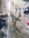 2015 Nissan Sentra Engine 1.8 At Cvt Wiring Harness Oem. Fixed Price $260.00.