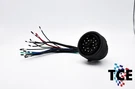 Bmw E30 24V M5X S5X Engine Swap / Repair C101 Pigtail. Fixed Price $99.00.