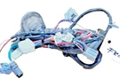 2003 06 Nissan Sentra Front Right Passenger Door Wiring Harness Oem 24124-4Z400. Fixed Price $27.77.