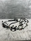 Engine Wire Harness From 2018 Ford F-150 3.5 HU5T12C508CN Turbo. Fixed Price $199.95.