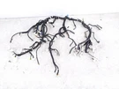2022-2024 Nissan Frontier Dashboard Instrument Wire Harness 28088-9BU1A. Fixed Price $299.25.