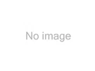 Hornblasters HKS40269 Con. Sp. (HKS45OB2). Fixed Price $1372.99.