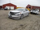 Hyundai Azera 2015 Cabin Fuse Box Used 9231. Fixed Price $117.98.