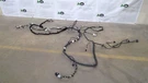 2020 Ford Expedition 3.5L Rear Body Wire Wiring Harness LL1T-13A409-AAB. Fixed Price $149.99.