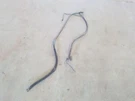 7.3L Left / Right Negative Battery Cables Fits 99 00 01 02 03 Ford F250 F350. Fixed Price $79.70.